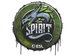 Sealed Graffiti | Team Spirit | Katowice 2019 image