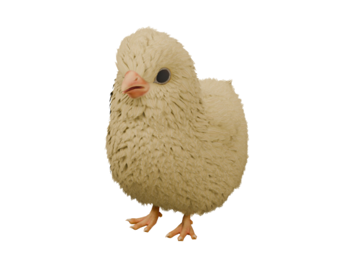 宠物小鸡