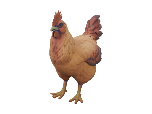 Pet Chicken | Catalana (Dark Orange)