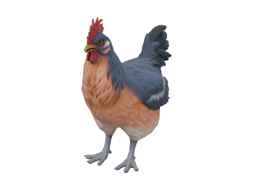 Pet Chicken | Catalana (Blue and Light Orange)