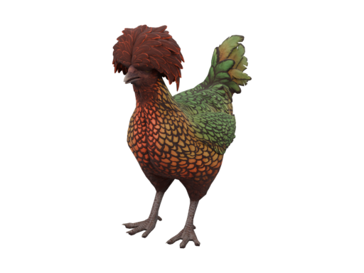 Pet Chicken | Polish (Green with Red Head)