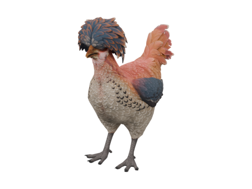 宠物鸡 | Polish (Orange White Blue)