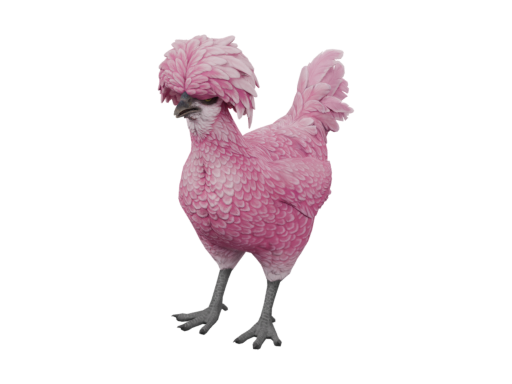Pet Chicken | Polish (Pink)