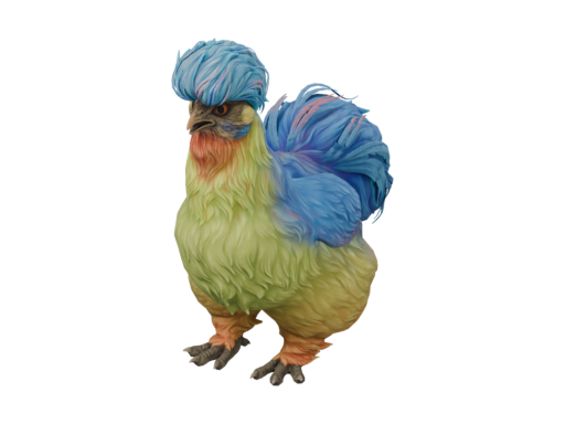 宠物鸡 | Silkie (Blue with Red Beard)