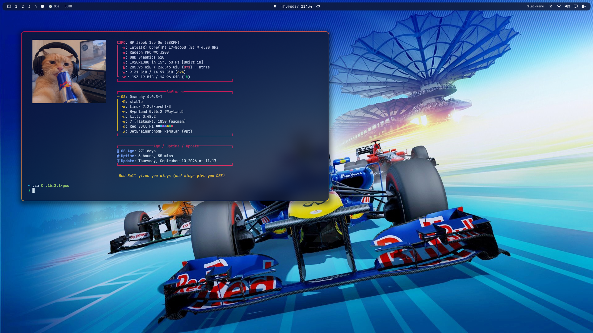 Red Bull F1 theme showcase
