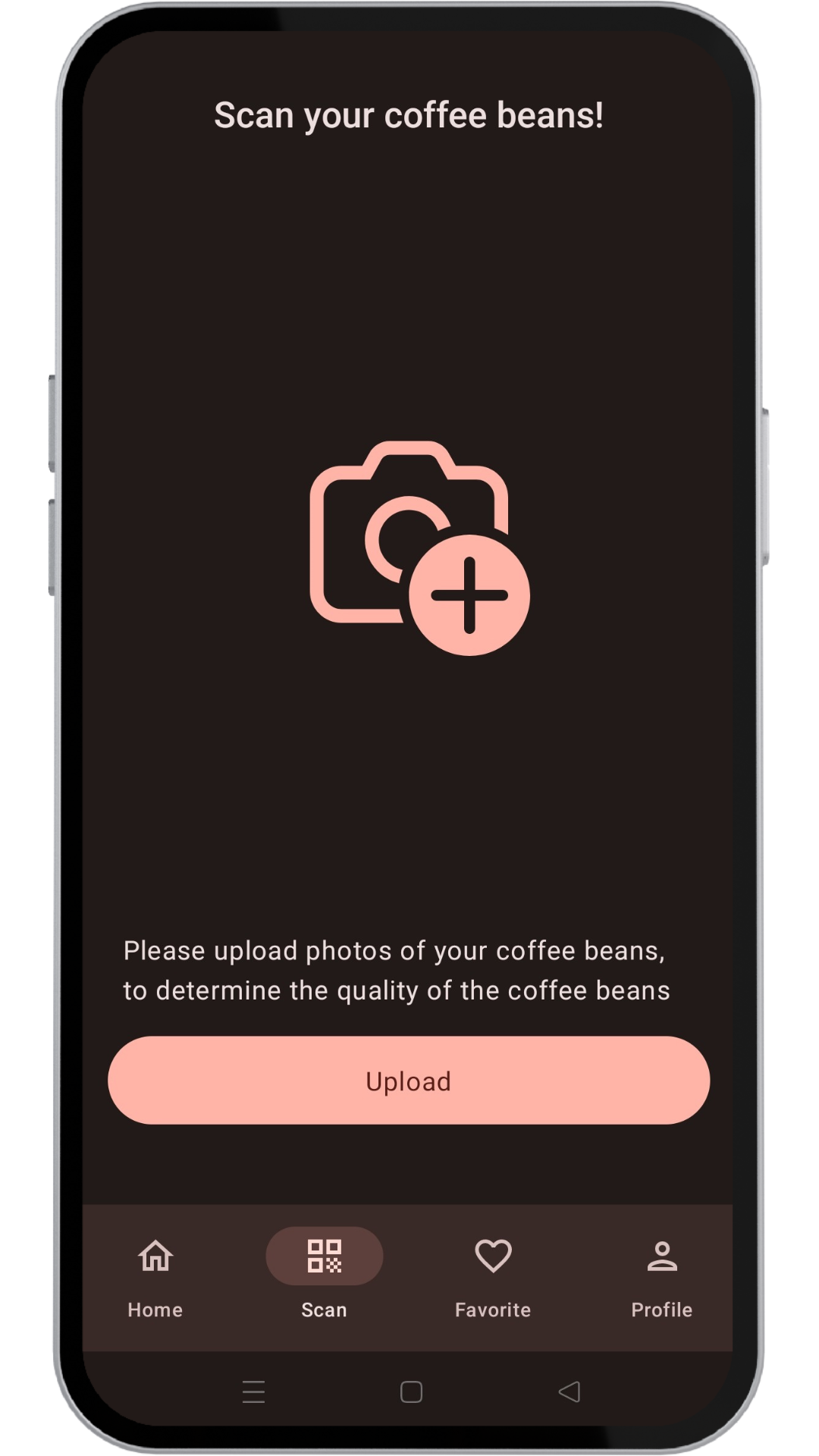Bean Greader Scan Screen