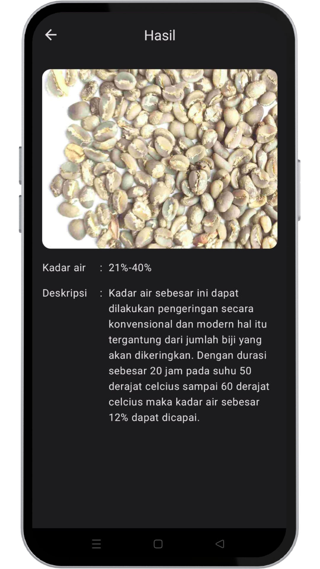 Bean Greader Detection Result