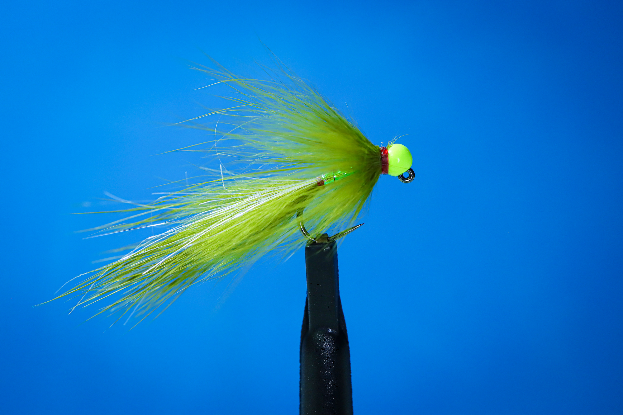 올리브 존커테일 미니 리치