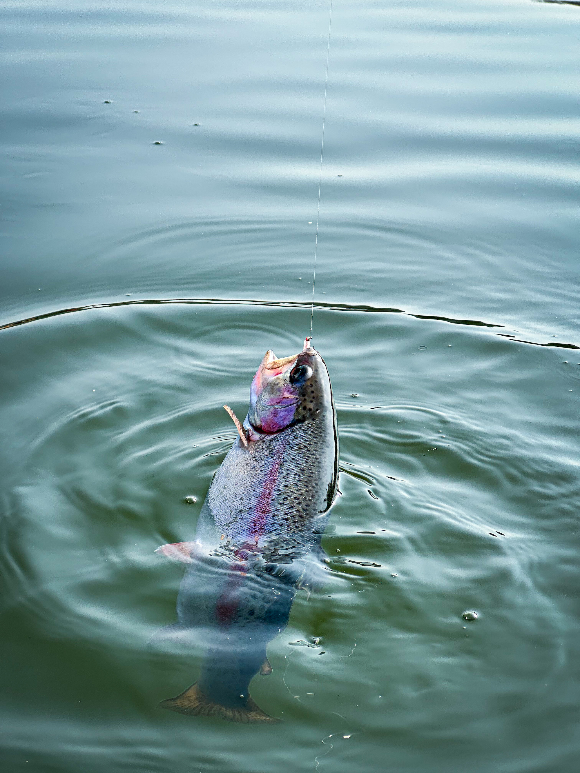 2026-02-21 출조 풍경 및 조과