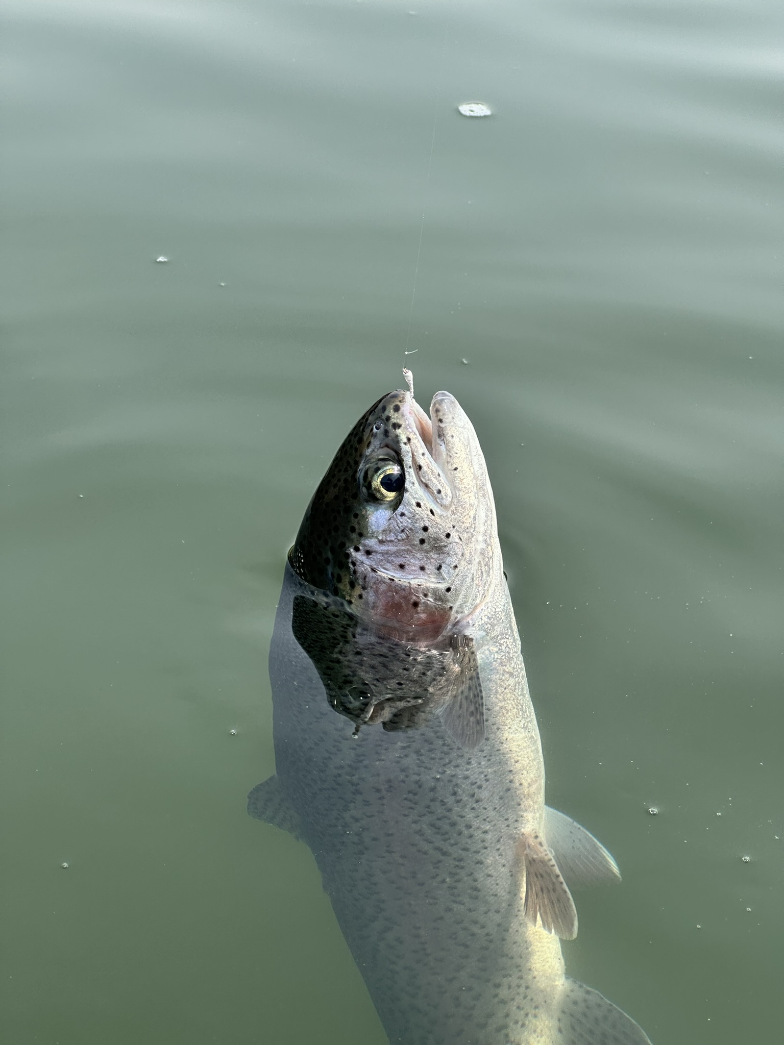 마이크로 님핑 랜딩