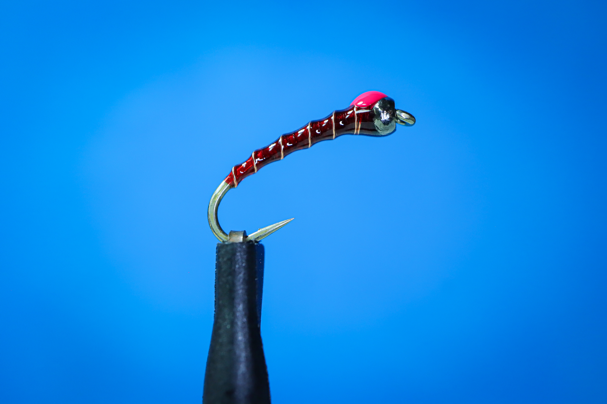 Red Chironomid Larva · 일반 레드