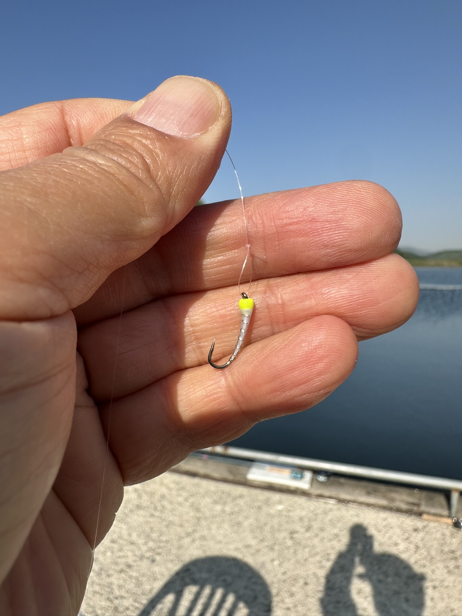 Chironomid 패턴