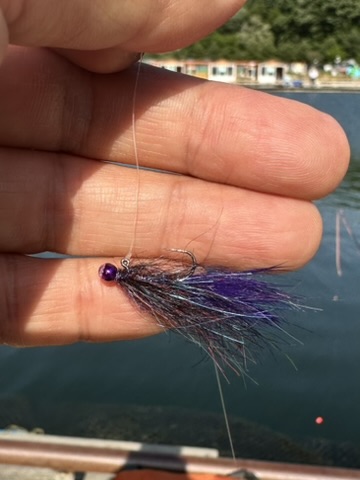 Balanced Leech #14