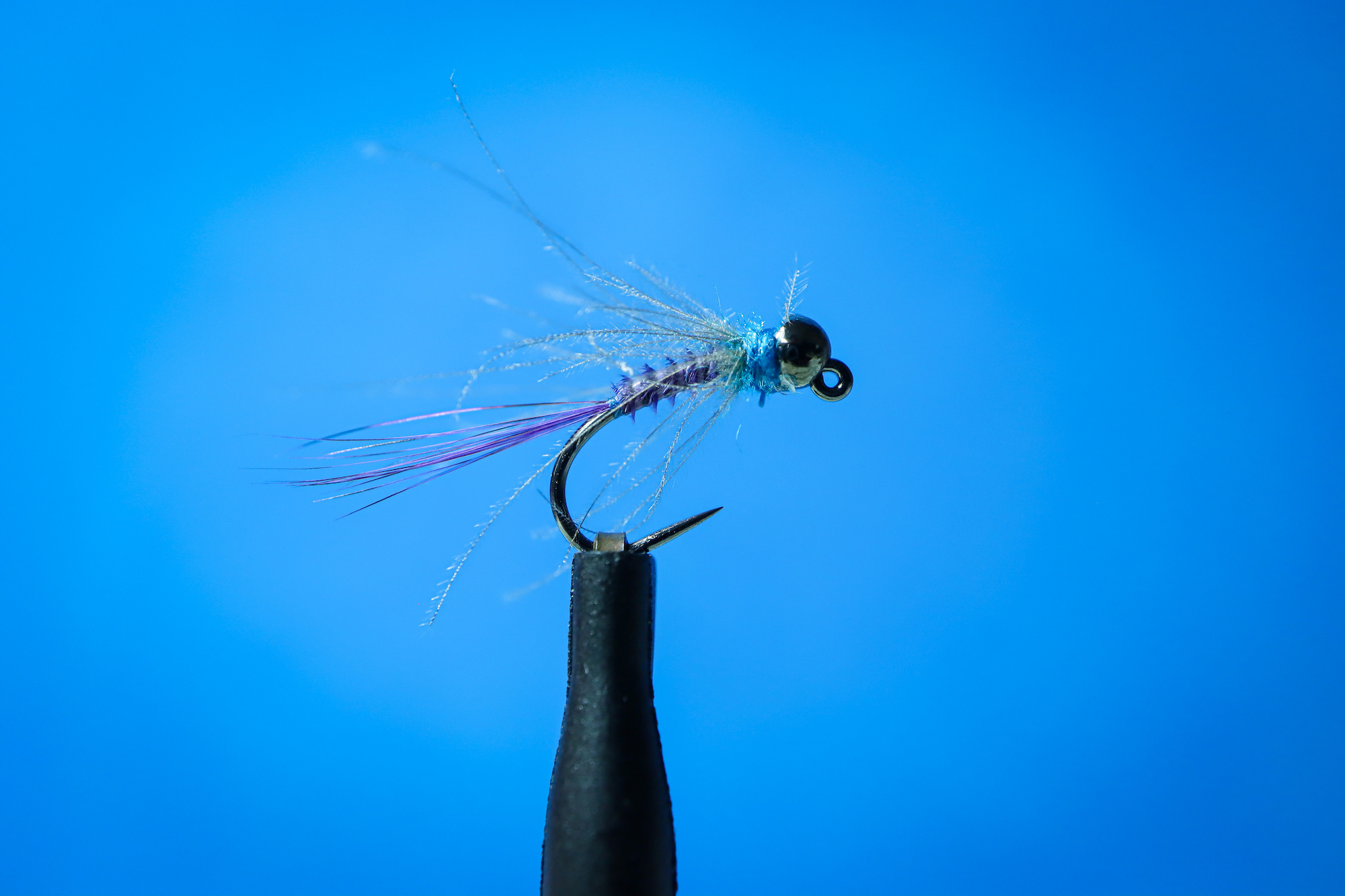 퍼플 메이 (Purple May) #16