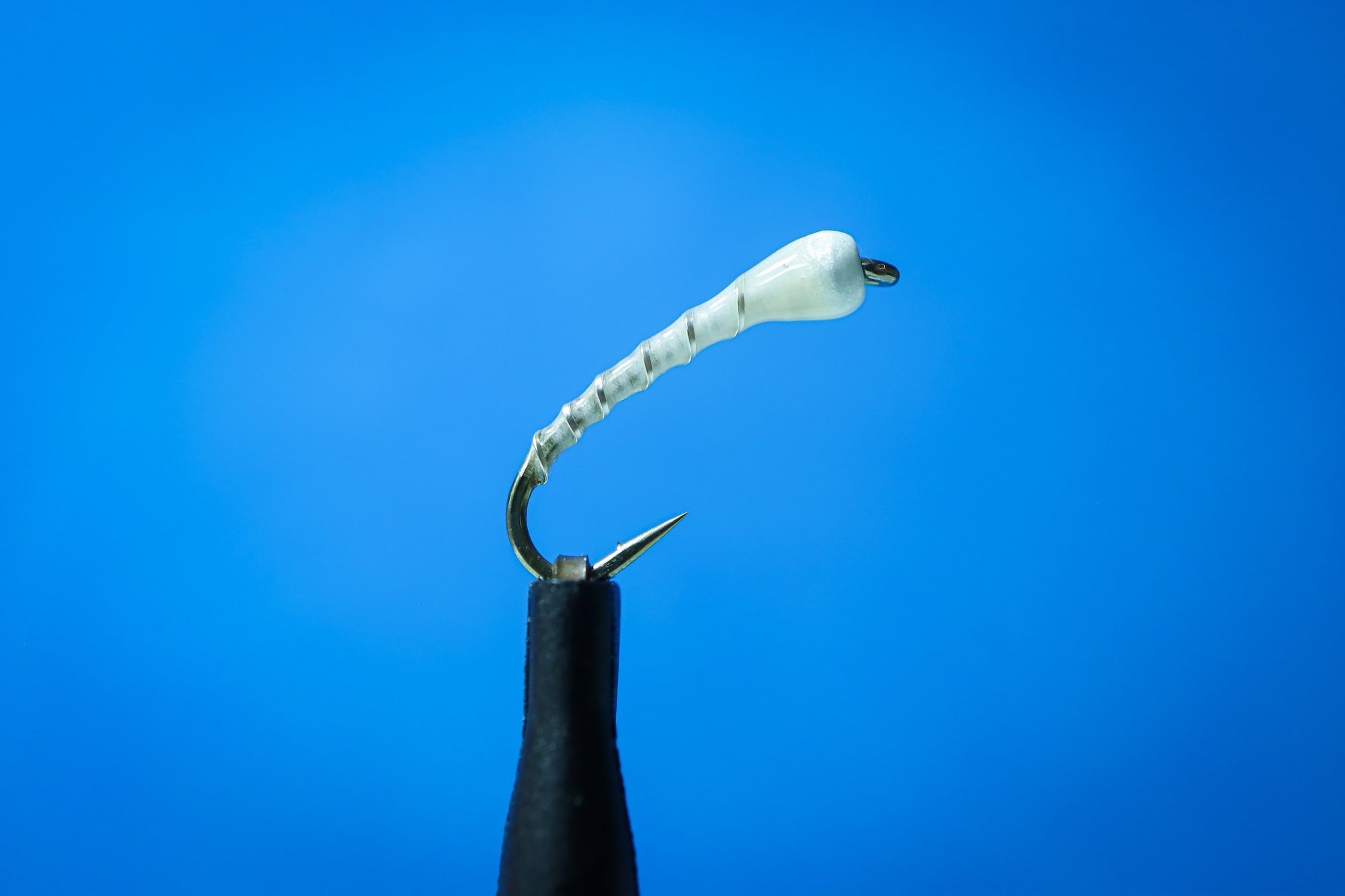 White Chironomid Pupa