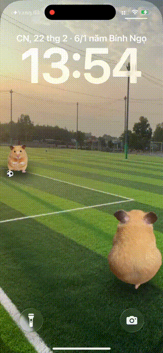 Hamster Playing Football preview