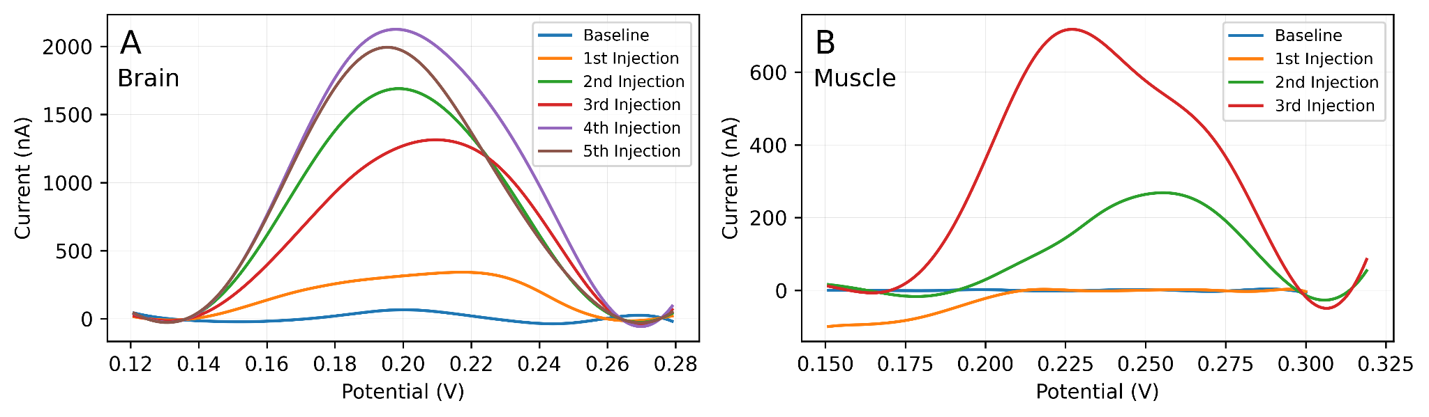CV traces showing increasing dopamine oxidation peak current after repeated injections in rat brain and rat limb tissue