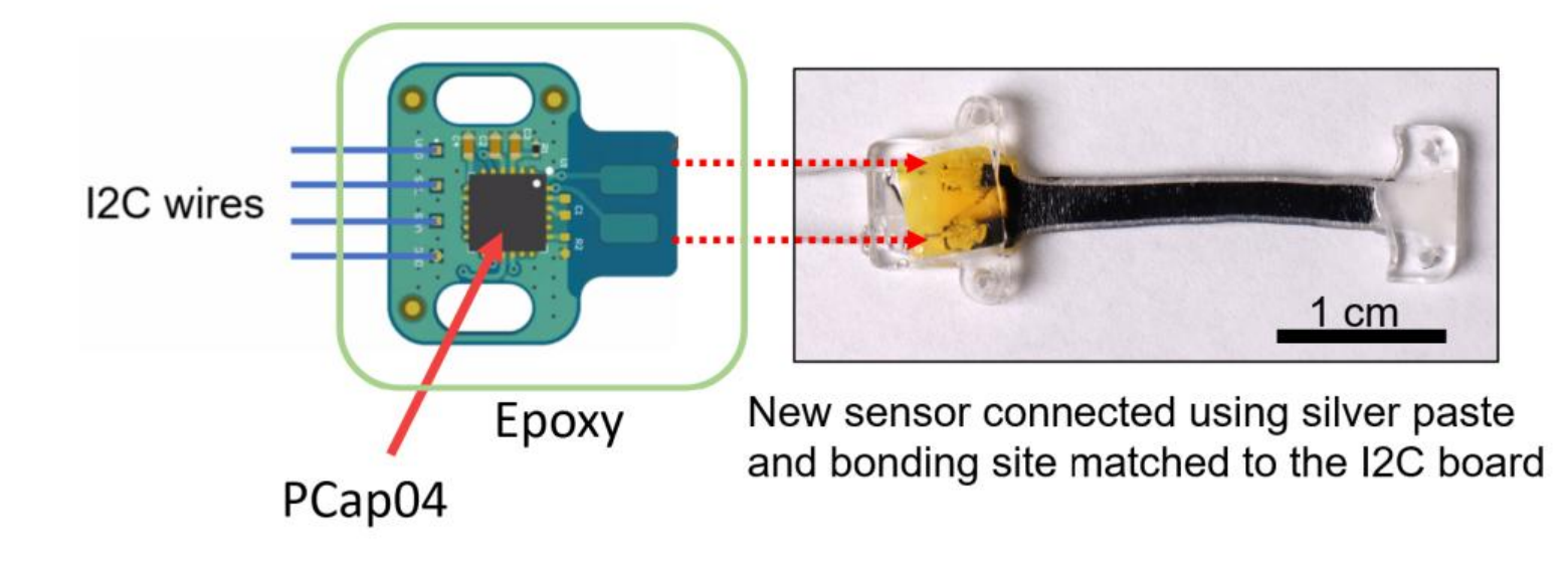 The CapSense PCB (I2C wires, PCap04 chip, epoxy strain relief) connected to the strain sensor via silver paste, with a 1 cm scale bar