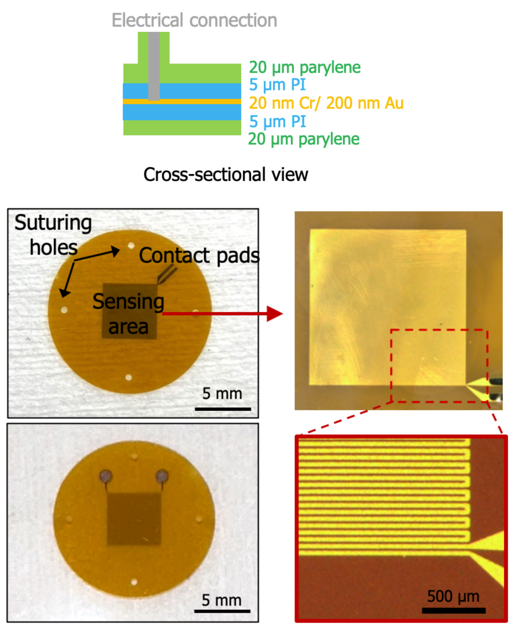 Sensor overview: layer cross-section, suturing holes, contact pads, sensing area, and progressively zoomed micrographs of the interdigitated sensing electrodes