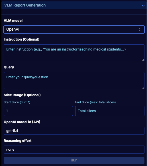 VLM Report Generation with OpenAI