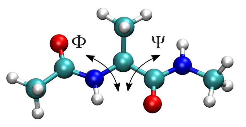 An alanine dipeptide molecule with dihedral angles shown.