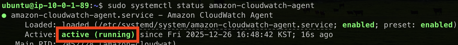 image-20251226165039550