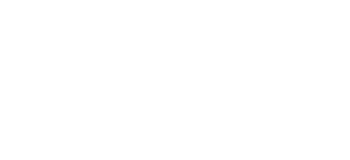 DMP Tool logo white, portrait, without tagline