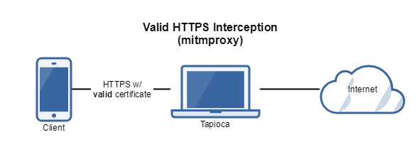 Full HTTPS inspection