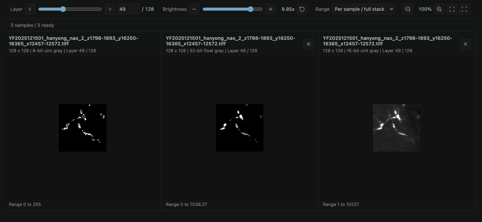 TIFF Viewer comparing 8-bit, 32-bit float and 16-bit samples