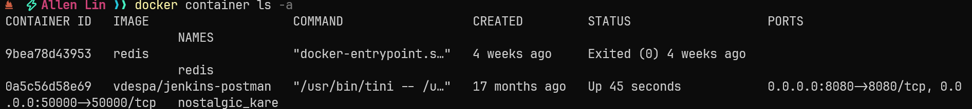docker_container_list_a