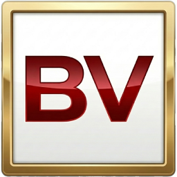 BV Server 1 Icon