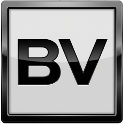 BV Server 2 Icon