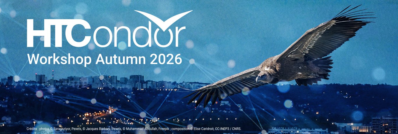 HTCondor Workshop Autumn 2026 banner showing a condor flying over the Lyon skyline