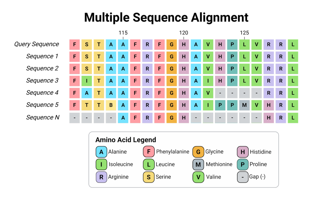 Diagram of a multiple sequence alignment showing a query sequence lined up with several related sequences, with amino acids color coded and gaps marked