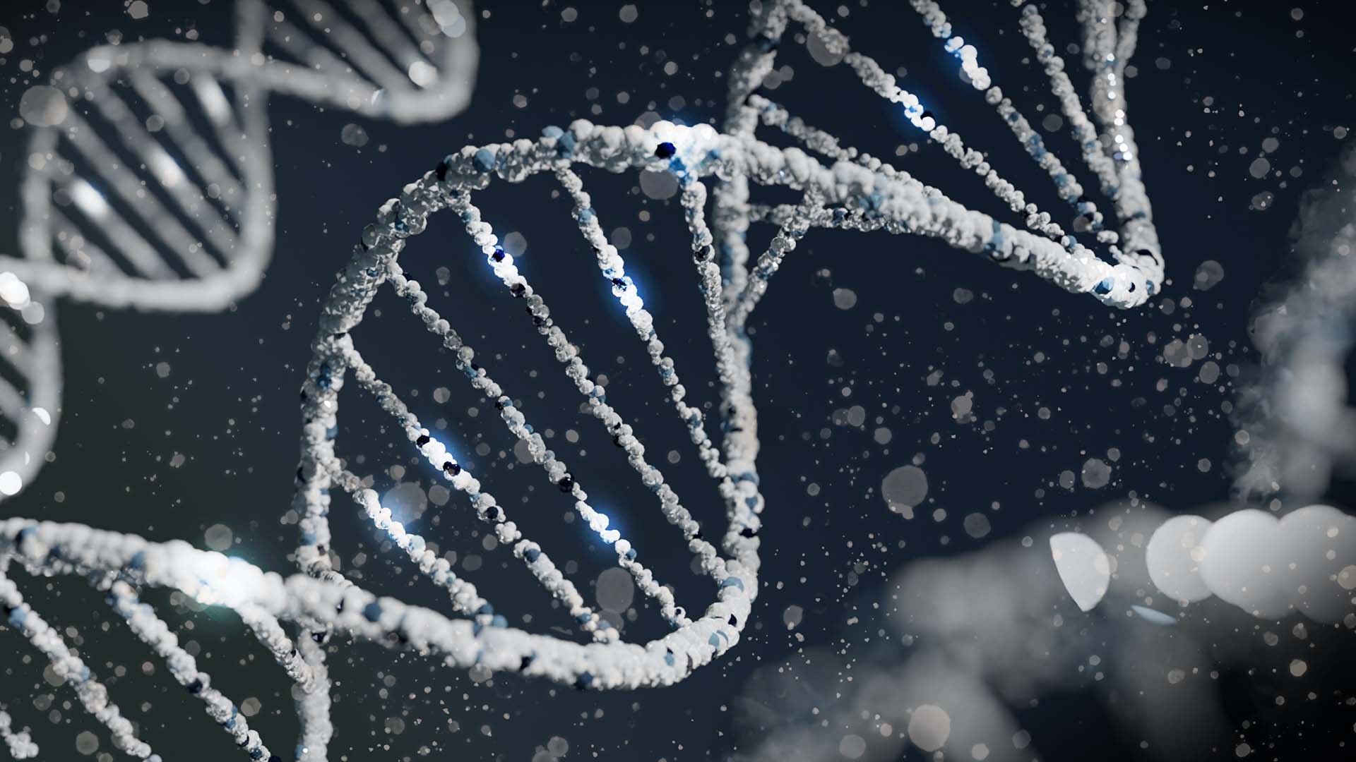 Computer rendering of DNA. Image credit: Sangharsh Lohakare (@sangharsh_l) on Unsplash.