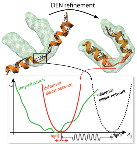 Protein structure image courtesy Gunnar F. Schröder