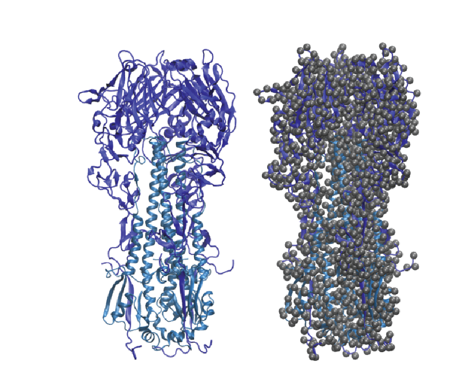 Computationally predicted structure of an influenza virus protein