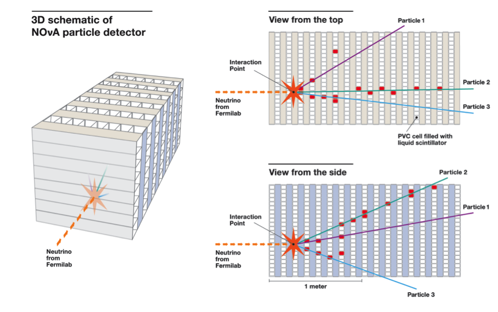 Neutrino interaction captured at the NOvA far detector