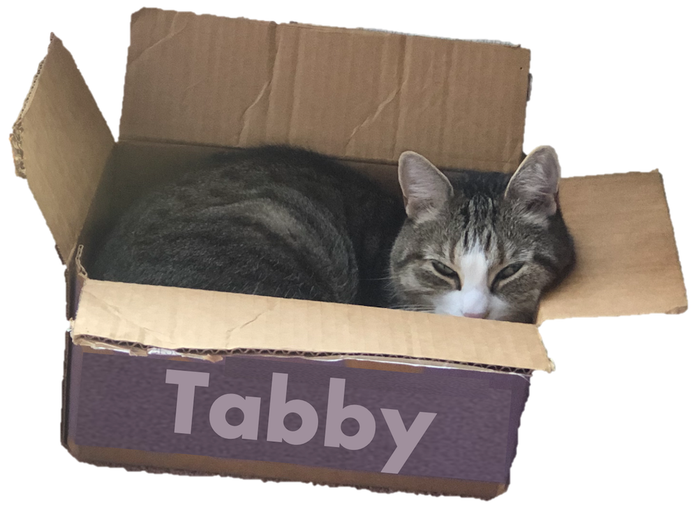 Tabby Logo, credits: Sonia Cromp