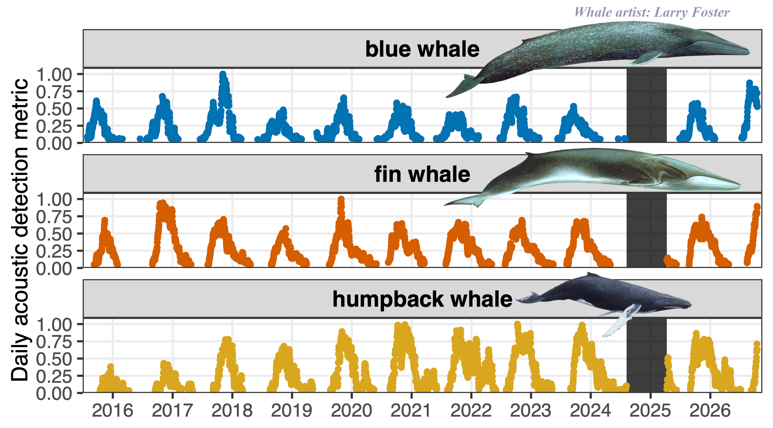 Time series scatter plot of the MARS whale call index (a proxy for abundance) for both blue and fin whales in the Monterey Bay National Marine Sanctuary. Both species have peak seasonal presence in the summer and fall months.