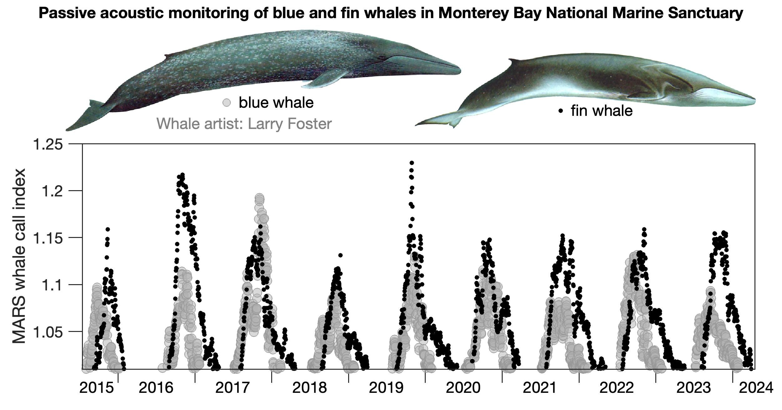 Time series scatter plot of the MARS whale call index (a proxy for abundance) for both blue and fin whales in the Monterey Bay National Marine Sanctuary. Both species have peak seasonal presence in the summer and fall months.