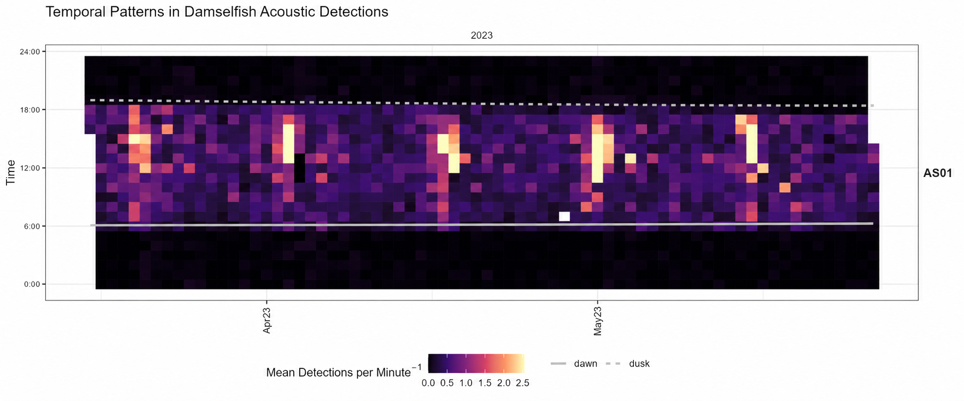 Heatmap of daytime damselfish detections at AS01 in Fagatele Bay from late March to May 2023, showing peak activity during mid-day to afternoon hours.
