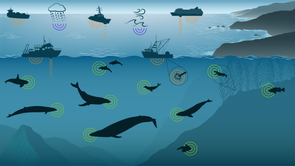 Infographic of icons representing examples of different sound sources in the ocean.