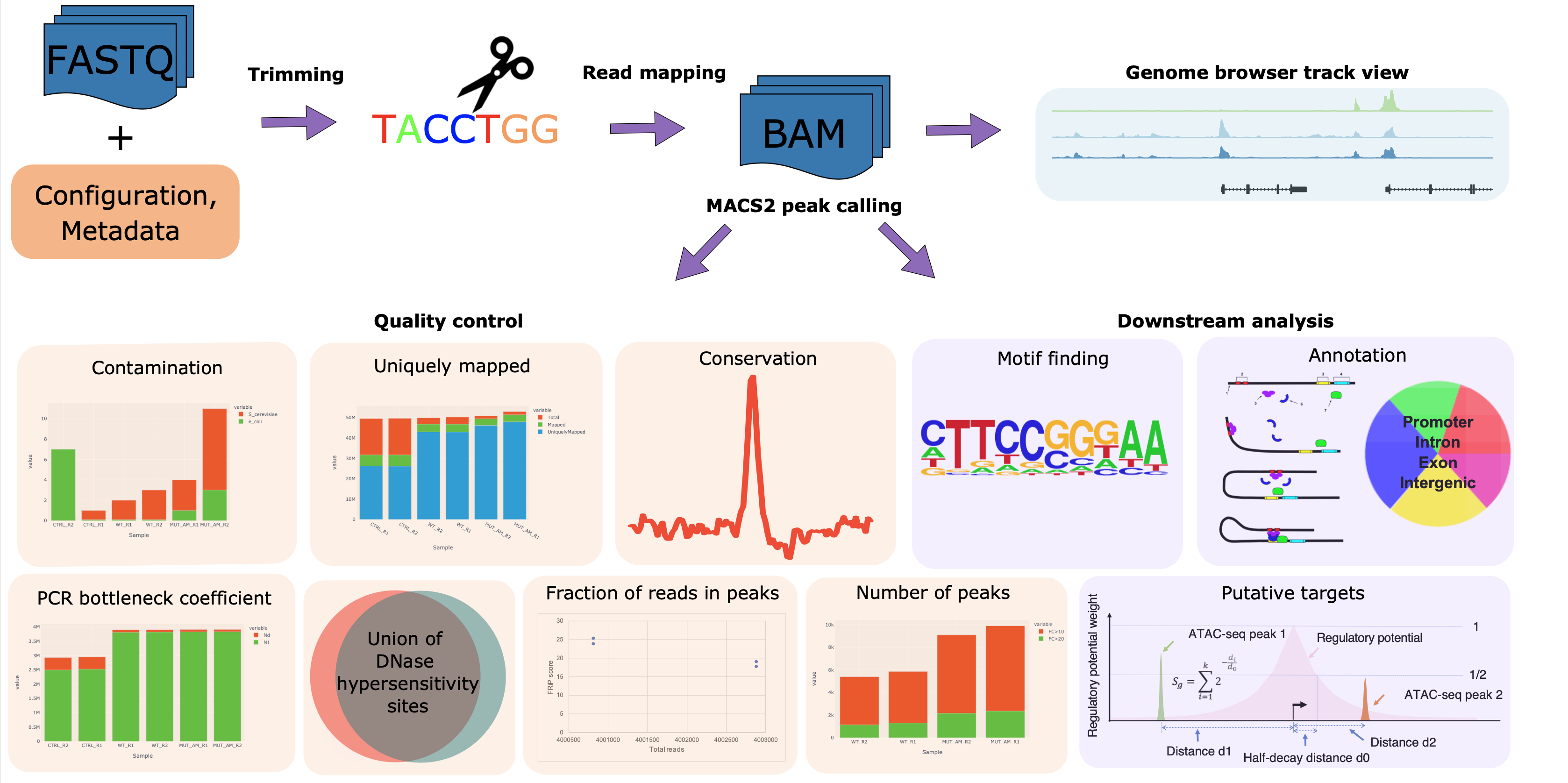 cidc-ngs-pipeline-api/atacseq.md at master · CIMAC-CIDC/cidc-ngs ...