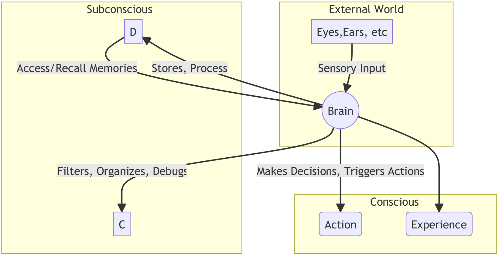 how the brain works diagram