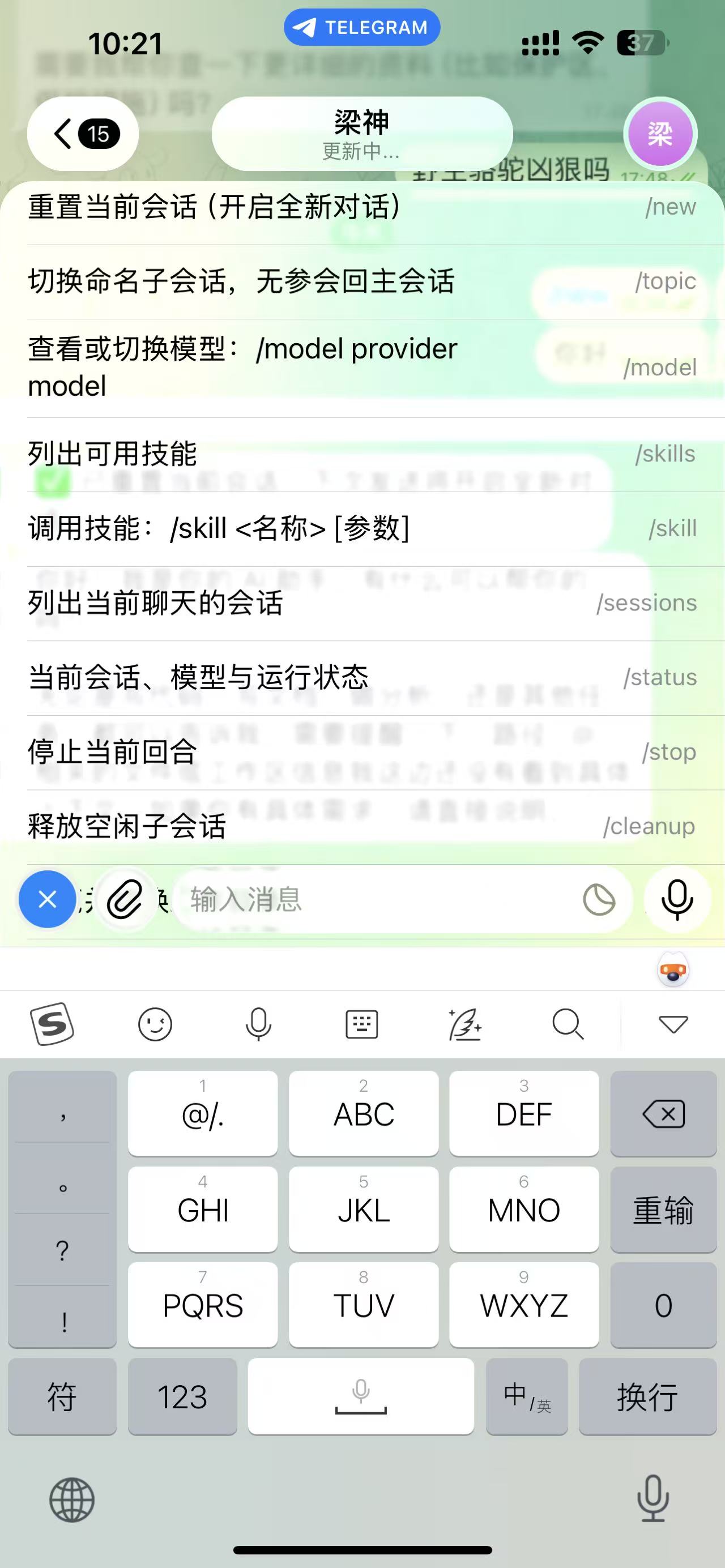Скриншот dsh-telegram-bridge 4