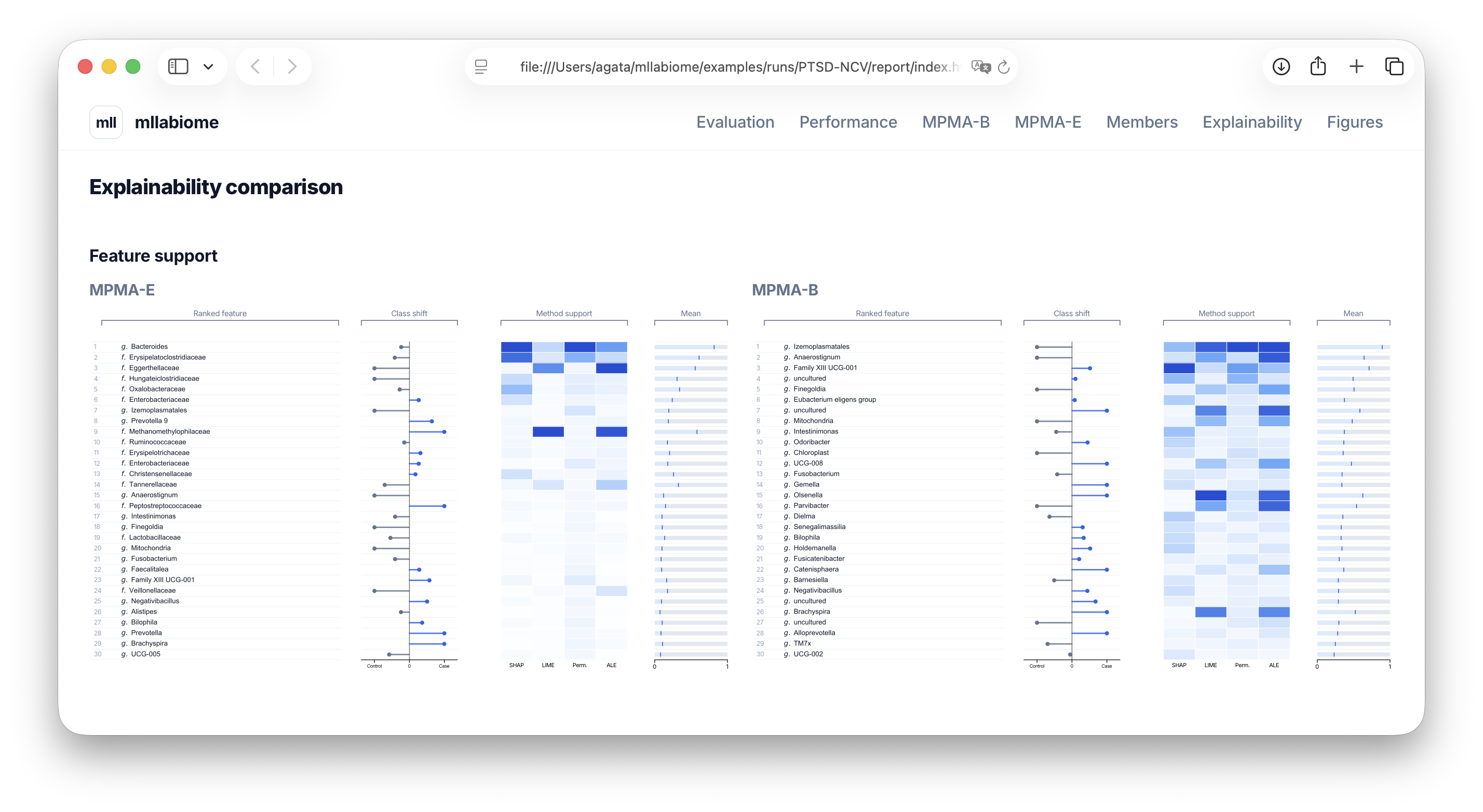 XAI report preview