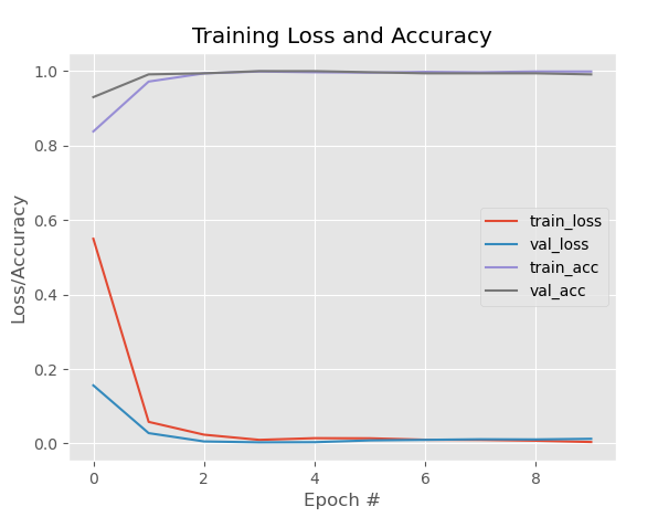 Training Plot