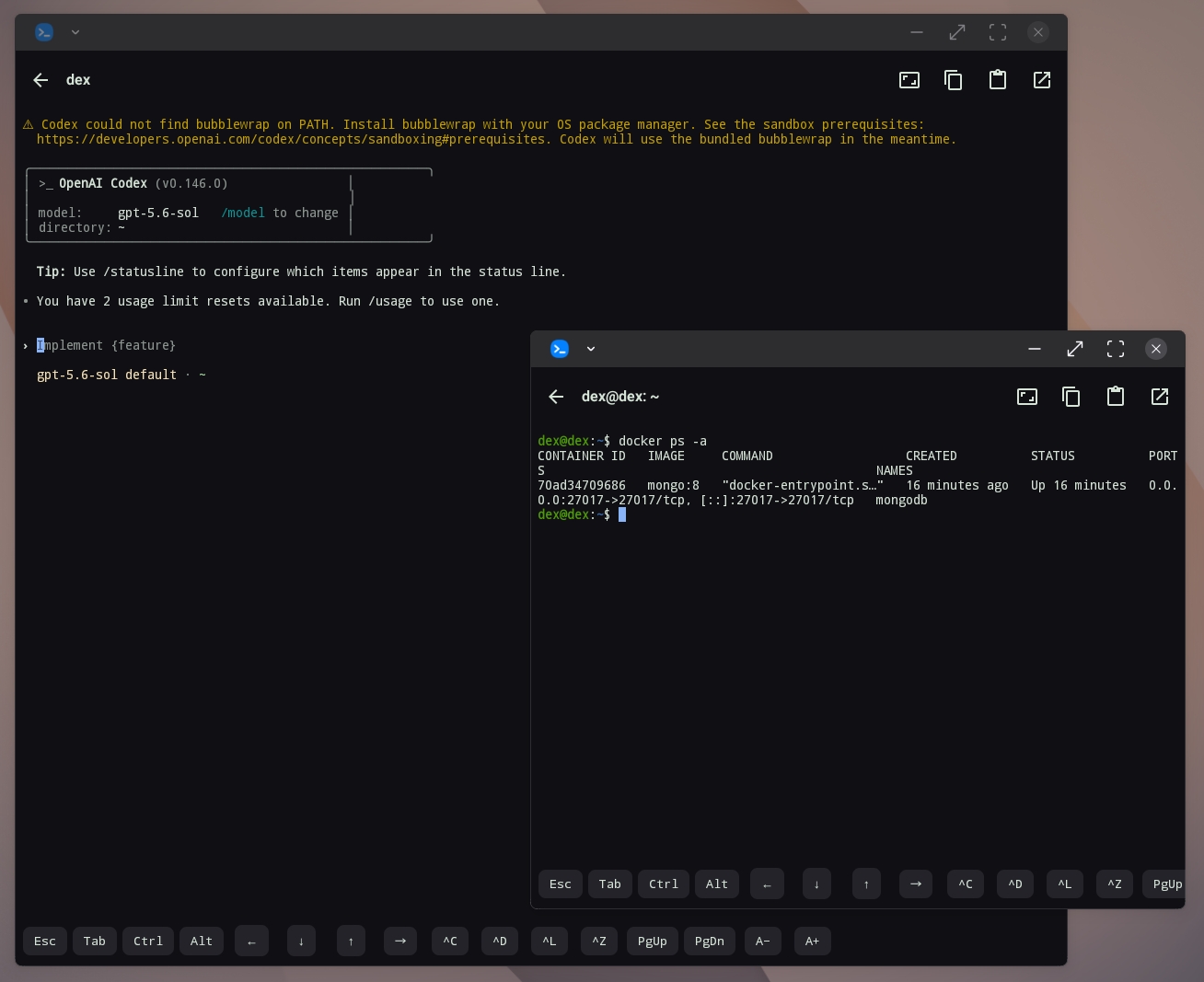 Two terminal windows on Samsung DeX: an AI coding CLI working inside the VM next to docker ps listing a running container
