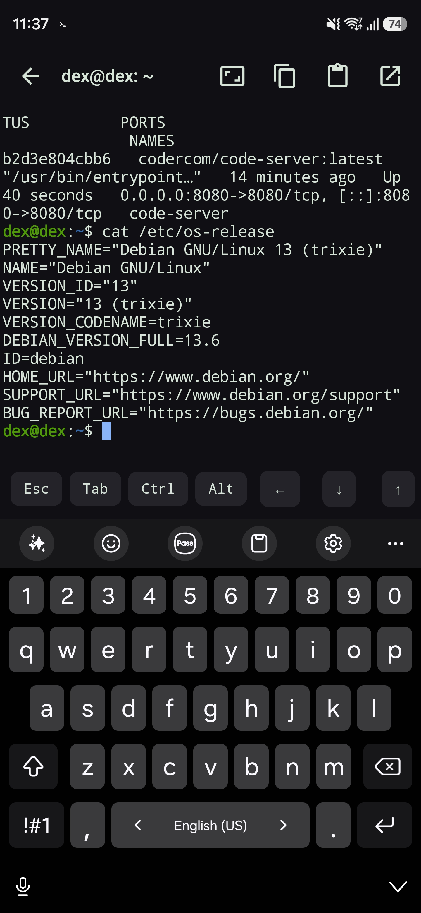 The in-app terminal on the phone: docker ps and /etc/os-release showing Debian 13 inside the VM